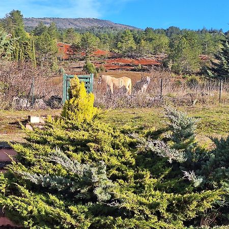 Studio " Le Fare Des Terres Rouges" Dans L Aude Arques  エクステリア 写真
