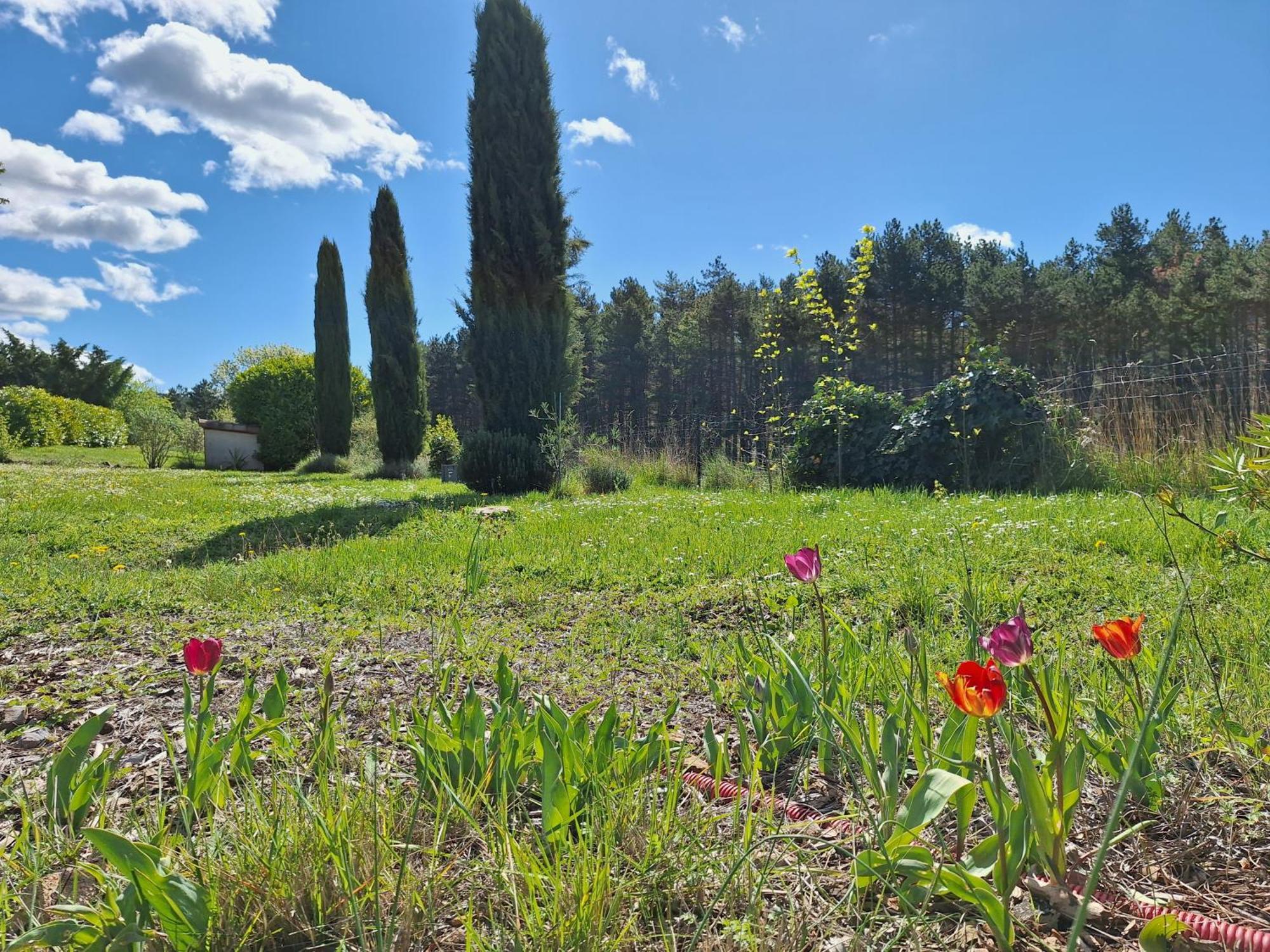 Studio " Le Fare Des Terres Rouges" Dans L Aude Arques  エクステリア 写真